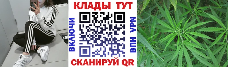 Купить закладку Alpha-PVP  Меф  Псилоцибиновые грибы  Бошки Шишки  Кола