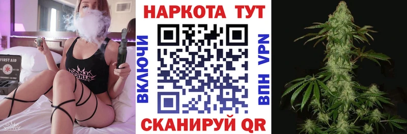 ГАШ Кола