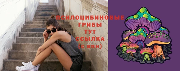 винт Богданович