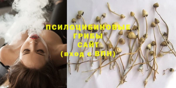 винт Богданович