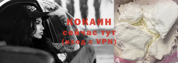 винт Богданович