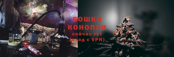 винт Богданович