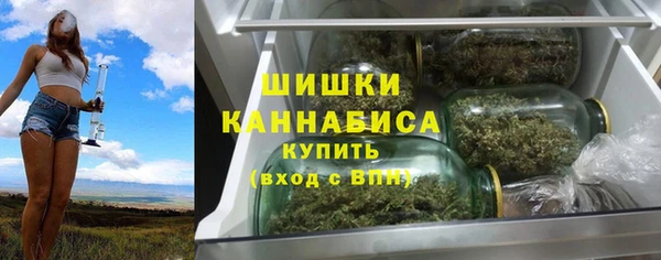apvp Богородск