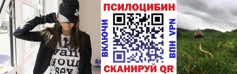 Купить где  Кола  Галлюциногенные грибы Psilocybine cubensis 